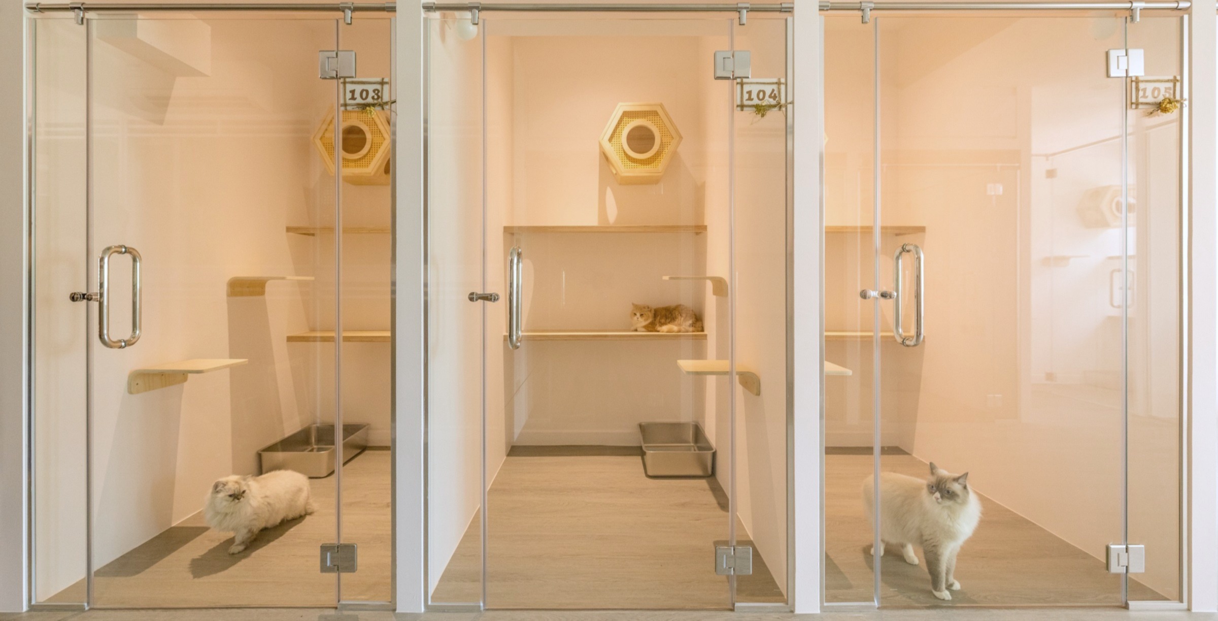 Kitnap-Rooms-Serenity