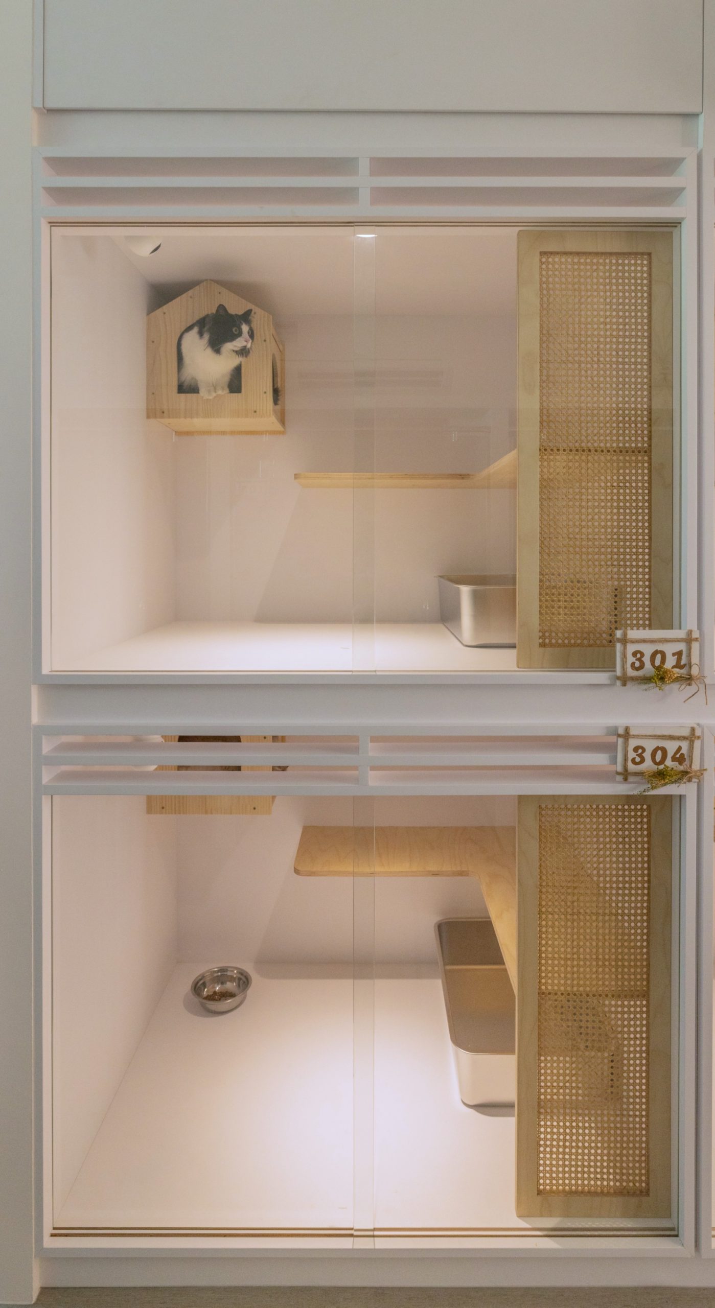 Kitnap-Rooms-Solo-Cove